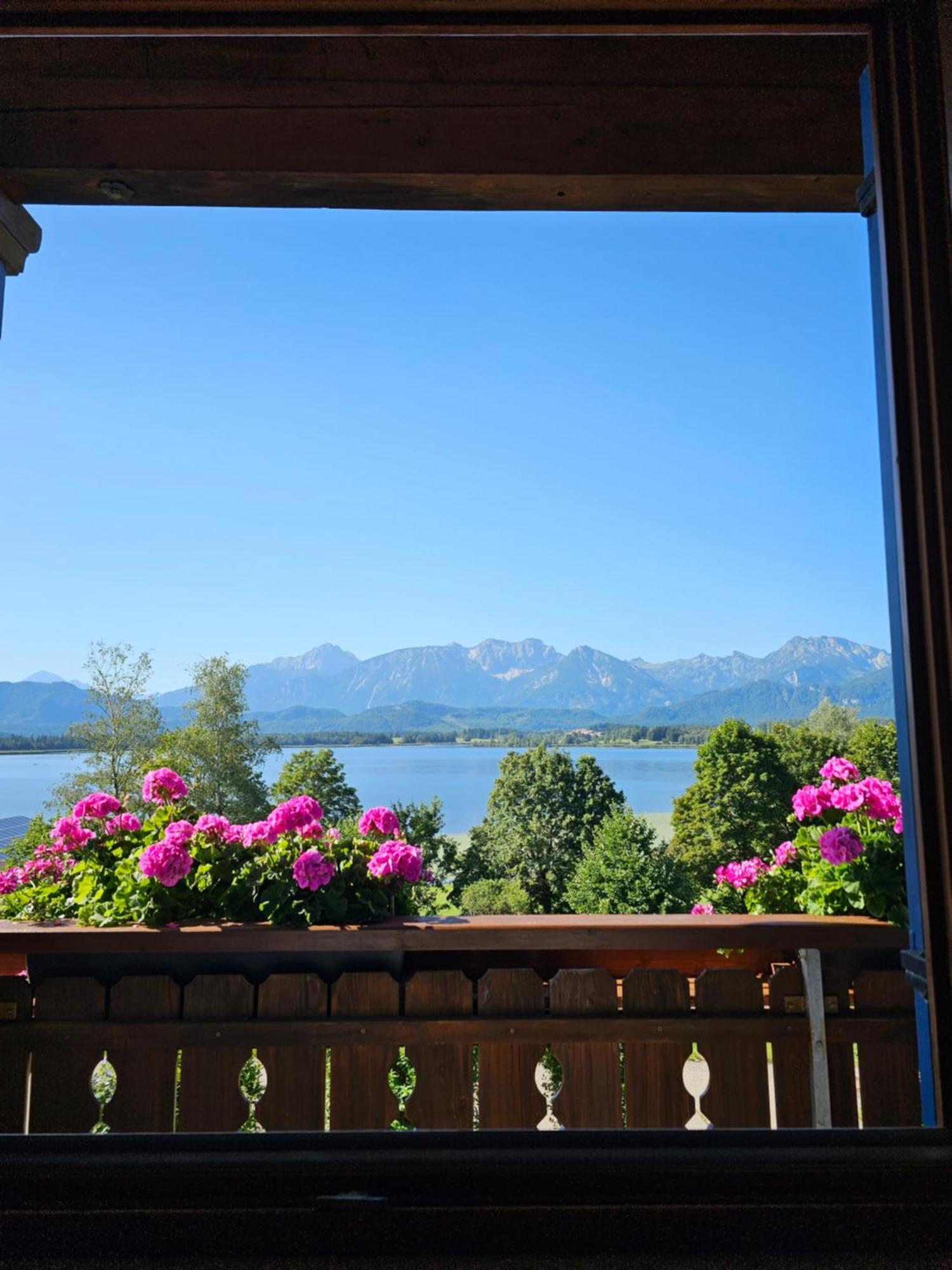 Landhaus Amberg Hopfen Am See // Hopfensee // Fuessen エクステリア 写真
